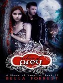 A Chase of Prey (eBook, ePUB)