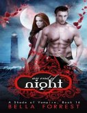 An End of Night (eBook, ePUB)