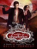 A Soldier of Shadows (eBook, ePUB)