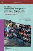 La crisis de lo doméstico y de lo público en tiempos de pandemia: miradas sobre Ciudad de México, Ciudad Juárez y Nogales (eBook, PDF)