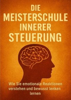 Cover Die Meisterschule Innerer Steuerung