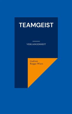 Teamgeist (eBook, ePUB)