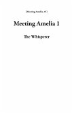 Meeting Amelia 1 (eBook, ePUB)