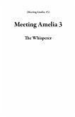 Meeting Amelia 3 (eBook, ePUB)