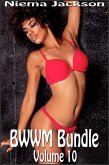 BWWM Bundle - Volume 10 (eBook, ePUB)