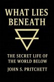 What Lies Beneath: The Secret Life of the World Below (eBook, ePUB)