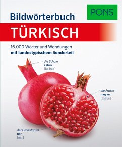Cover PONS Bildwörterbuch Türkisch  (Restauflage)