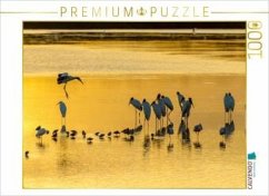 Cover CALVENDO Puzzle Ein Motiv aus dem Kalender Waldstorch und Anhinga   1000 Teile Lege-Größe 64x48cm Foto-Puzzle für glückl