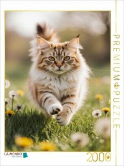 CALVENDO Puzzle Die Maine Coon Katze läuft voller Energie durch eine blühende Frühlingswiese.   2000 Teile Lege-Größe 90