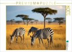 CALVENDO Puzzle Zebras grasen in wunderschöner afrikanischer Natur   1000 Teile Lege-Größe 64x48cm Foto-Puzzle für glück