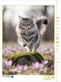 CALVENDO Puzzle Eine Maine Coon Katze springt über einen Felsen und bewegt sich voller Energie durch die Frühlingsblumen