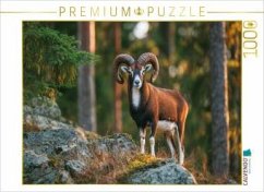 Cover CALVENDO Puzzle Ein stolzes Mufflon steht auf einem Felsen im Wald und wird vom warmen Licht der Abendsonne beleuchtet,
