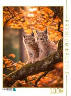 CALVENDO Puzzle Das ist pure Lebensfreude im herbstlichen Licht 1000 Teile Lege-Größe 64x48cm Foto-Puzzle für glücklic CALVENDO Puzzle Das ist pure Lebensfreude im herbstlichen Licht 1000 Teile Lege-Größe 64x48cm Foto-Puzzle für glücklic