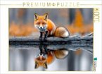 CALVENDO Puzzle Ein neugieriger Fuchs auf einem treibenden Baumstamm, umgeben von stillem Wasser 1000 Teile Lege-Größe CALVENDO Puzzle Ein neugieriger Fuchs auf einem treibenden Baumstamm, umgeben von stillem Wasser 1000 Teile Lege-Größe