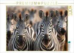 CALVENDO Puzzle Ein typisches Bild - eine große Zebraherde   1000 Teile Lege-Größe 64x48cm Foto-Puzzle für glückliche St