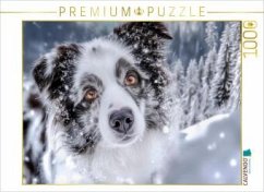 CALVENDO Puzzle Welch ein eindrucksvolles Porträt   1000 Teile Lege-Größe 64x48cm Foto-Puzzle für glückliche Stunden