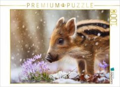CALVENDO Puzzle Zwischen Tau und Blüte erwacht das Leben 1000 Teile Lege-Größe 64x48cm Foto-Puzzle für glückliche Stun CALVENDO Puzzle Zwischen Tau und Blüte erwacht das Leben 1000 Teile Lege-Größe 64x48cm Foto-Puzzle für glückliche Stun
