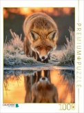 CALVENDO Puzzle Wenn selbst der Frost innehält, um den Fuchs zu beobachten   1000 Teile Lege-Größe 64x48cm Foto-Puzzle f