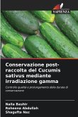 Conservazione post-raccolta del Cucumis sativus mediante irradiazione gamma