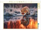 CALVENDO Puzzle Sanft atmet der Fuchs den Wintermorgen ein   1000 Teile Lege-Größe 64x48cm Foto-Puzzle für glückliche St