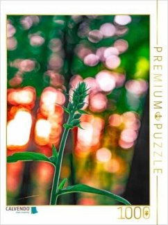 Cover CALVENDO Puzzle Orchidee Bokeh   1000 Teile Lege-Größe 64x48cm Foto-Puzzle für glückliche Stunden