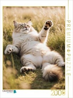 CALVENDO Puzzle Eine Maine Coon Katze liegt entspannt im hohen Gras und streckt spielerisch ihre Pfote aus.   2000 Teile