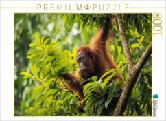 Cover CALVENDO Puzzle Von Baum zu Baum   1000 Teile Lege-Größe 64x48cm Foto-Puzzle für glückliche Stunden