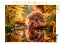 Cover CALVENDO Puzzle Ein Schluck Sommer, der Igel stillt seinen Durst   1000 Teile Lege-Größe 64x48cm Foto-Puzzle für glückli