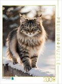 CALVENDO Puzzle Majestätische Maine Coon Katze im Winter - edles Katzenporträt im Schnee   2000 Teile Lege-Größe 90x67cm