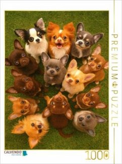 Cover CALVENDO Puzzle Chihuahua Diamonds - Kleine Freunde mit großen Augen   1000 Teile Lege-Größe 64x48cm Foto-Puzzle für glü
