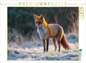 CALVENDO Puzzle Rotfuchs im Morgenlicht auf frostiger Wiese Tierpuzzle mit Fuchs 1000 Teile Lege-Größe 64x48cm Foto-Pu CALVENDO Puzzle Rotfuchs im Morgenlicht auf frostiger Wiese Tierpuzzle mit Fuchs 1000 Teile Lege-Größe 64x48cm Foto-Pu