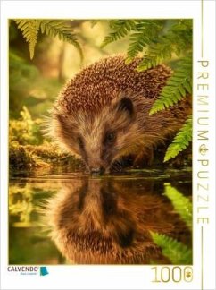 Cover CALVENDO Puzzle Der Igel stillt seinen Durst am Spiegel der Natur   1000 Teile Lege-Größe 64x48cm Foto-Puzzle für glückl