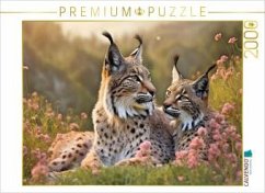 Cover CALVENDO Puzzle Verliebtes Luchspärchen in Paarungsstimmung   2000 Teile Lege-Größe 90x67cm Foto-Puzzle für glückliche S
