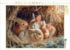 Cover CALVENDO Puzzle Kaninchenportraits   1000 Teile Lege-Größe 64x48cm Foto-Puzzle für glückliche Stunden