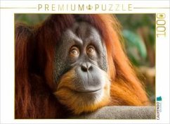 Cover CALVENDO Puzzle Ein schöner Moment - Ruhe und Zufriedenheit   1000 Teile Lege-Größe 64x48cm Foto-Puzzle für glückliche S