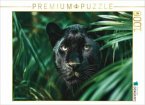 CALVENDO Puzzle Schwarzer Panther, die Nacht hat Augen 1000 Teile Lege-Größe 64x48cm Foto-Puzzle für glückliche Stunde CALVENDO Puzzle Schwarzer Panther, die Nacht hat Augen 1000 Teile Lege-Größe 64x48cm Foto-Puzzle für glückliche Stunde
