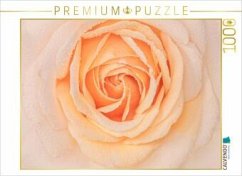 Cover CALVENDO Puzzle Rose im Morgentau   1000 Teile Lege-Größe 64x48cm Foto-Puzzle für glückliche Stunden