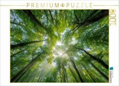 Cover CALVENDO Puzzle Sonnenstrahlen fallen durch das dichte Blätterdach eines sommerlichen Waldes und schaffen eine Atmosphär