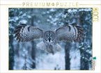 CALVENDO Puzzle Eule, die Wächterin der Nacht 1000 Teile Lege-Größe 64x48cm Foto-Puzzle für glückliche Stunden CALVENDO Puzzle Eule, die Wächterin der Nacht 1000 Teile Lege-Größe 64x48cm Foto-Puzzle für glückliche Stunden