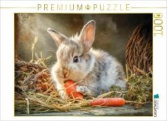 Cover CALVENDO Puzzle Kaninchenportraits   1000 Teile Lege-Größe 64x48cm Foto-Puzzle für glückliche Stunden