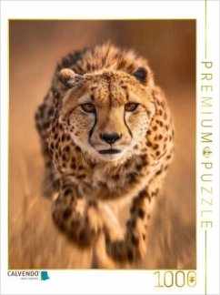 Cover CALVENDO Puzzle Gepard im Lauf   1000 Teile Lege-Größe 64x48cm Foto-Puzzle für glückliche Stunden