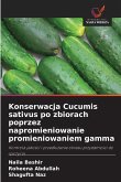 Konserwacja Cucumis sativus po zbiorach poprzez napromieniowanie promieniowaniem gamma