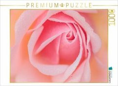 Cover CALVENDO Puzzle Rose im Morgentau   1000 Teile Lege-Größe 64x48cm Foto-Puzzle für glückliche Stunden