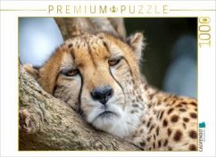 CALVENDO Puzzle Endlich eine Ruhepause   1000 Teile Lege-Größe 64x48cm Foto-Puzzle für glückliche Stunden