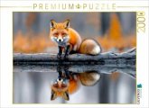 CALVENDO Puzzle Ein neugieriger Fuchs auf einem treibenden Baumstamm, umgeben von stillem Wasser   2000 Teile Lege-Größe