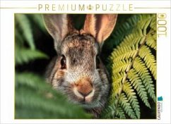 CALVENDO Puzzle Neugier blinzelt zwischen Farn und Sonne   1000 Teile Lege-Größe 64x48cm Foto-Puzzle für glückliche Stun
