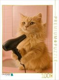 CALVENDO Puzzle Katze am Frisieren und Fönen   1000 Teile Lege-Größe 64x48cm Foto-Puzzle für glückliche Stunden