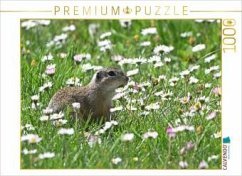 CALVENDO Puzzle Immer wieder lecker   1000 Teile Lege-Größe 64x48cm Foto-Puzzle für glückliche Stunden