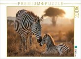 CALVENDO Puzzle Behütet und beschützt - das Zebrafohlen 2000 Teile Lege-Größe 90x67cm Foto-Puzzle für glückliche Stund CALVENDO Puzzle Behütet und beschützt - das Zebrafohlen 2000 Teile Lege-Größe 90x67cm Foto-Puzzle für glückliche Stund