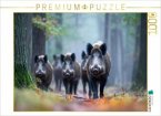 CALVENDO Puzzle Eine Rotte Wildschweine zieht durch den nebligen Wald und erscheint geheimnisvoll im diffusen Morgenlich CALVENDO Puzzle Eine Rotte Wildschweine zieht durch den nebligen Wald und erscheint geheimnisvoll im diffusen Morgenlich